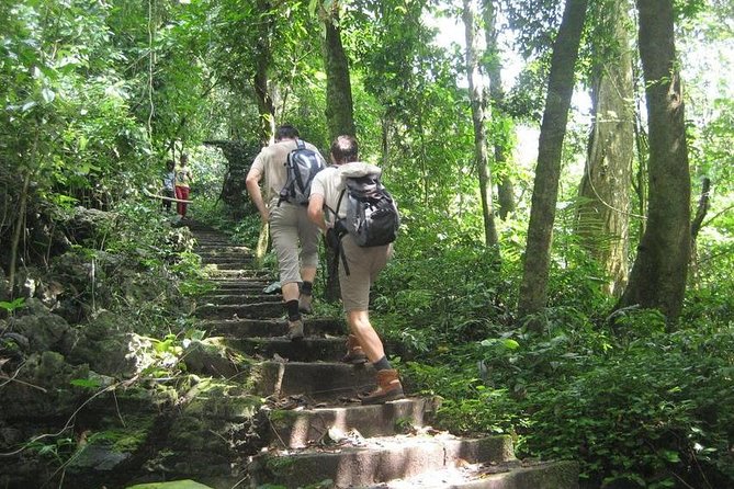 From Hanoi: Cuc Phuong National Park Day Trip by Private Car - What the one-day schedule actually feels like