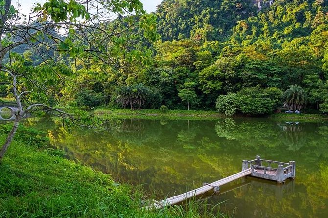 From Hanoi: Cuc Phuong National Park Day Trip by Private Car - Lunch at a house on stilts: a midday reset that’s actually included