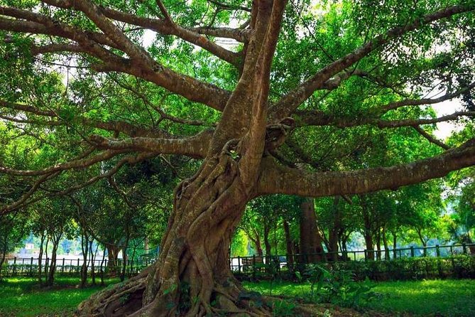 From Hanoi: Cuc Phuong National Park Day Trip by Private Car - Who should book this, and who might want a backup plan