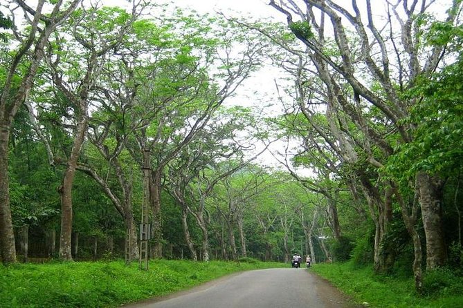 From Hanoi: Cuc Phuong National Park Day Trip by Private Car - Should you book the Cuc Phuong National Park day trip by private car?