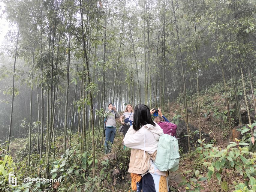 From Hanoi: Guided 2-Day Tour of Sa Pa with Lunch & Dinner - English guide and small group size: why it changes the whole feel