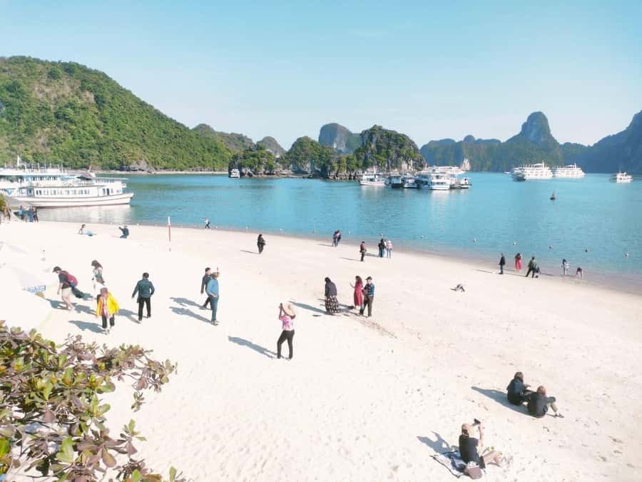 From Hanoi: Ha Long Bay Luxury Day Cruise with Food & Kayak - Titop Island: climb for views, then cool off at the beach