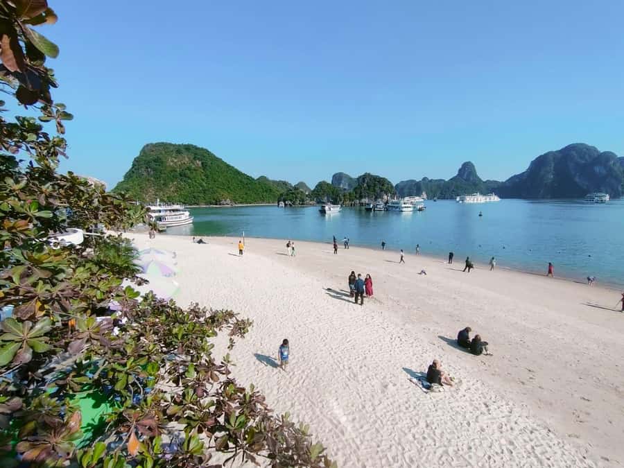 From Hanoi: Ha Long Bay Luxury Day Cruise with Food & Kayak - Sunset party on the sundeck: the payoff at the end