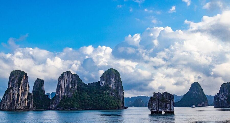 From Hanoi: Halong Bay Day Trip with Lunch and Transfers - The Cruise Out of Tuan Chau Harbor (Plus Lunch on the Water)