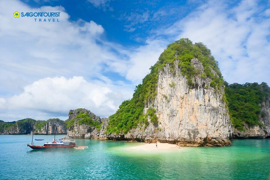 From Hanoi: Halong Bay Day Trip with Lunch and Transfers - Sung Sot Cave: Stalactites, Stalagmites, and Big-Feeling Scale