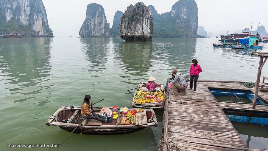 From Hanoi: Halong Bay Day Trip with Lunch and Transfers - Titop Island Hike and Beach Time That Actually Breaks Up the Day
