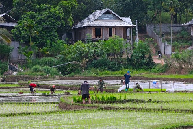 From Hanoi Hidden Gems of Mai Chau Explore Rural Villages by Bike - Mai Chau arrival and lunch: a real midday reset, not a rushed snack
