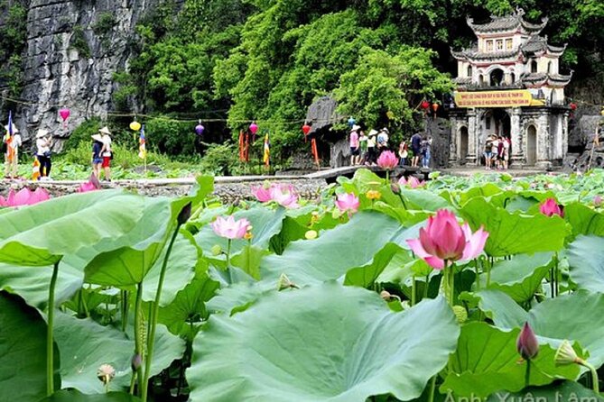 From Hanoi: Hoa Lu, Tam Coc, and Mua Cave Scenic Day Trip - Mua Cave Climb: Ngoạ Long Mountain and Rice-Valley Views