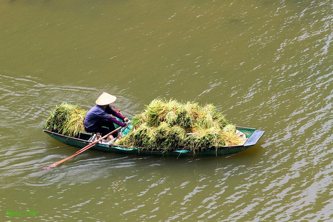 From Hanoi: Hoa Lu - Tam Coc boating - Cycling & Mua Cave visit - Timing and group size: how the day really feels