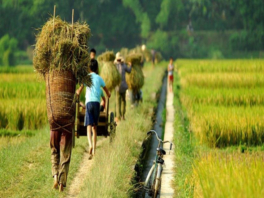 From Hanoi: Mai Chau Valley & Hill Tribes 2-Day Trek Tour - FAQ