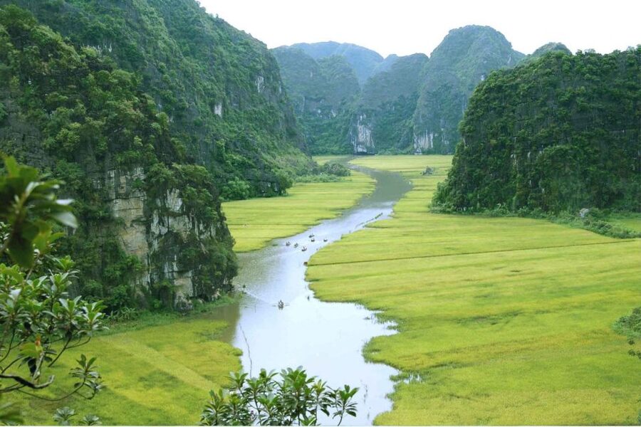 From Hanoi: Ninh Binh & Cuc Phuong National Park 2-Day Tour - Key highlights worth planning around