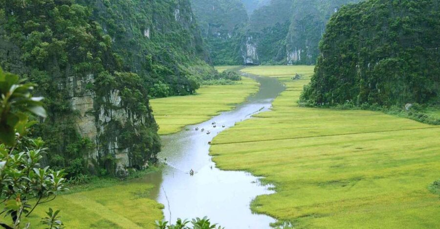 From Hanoi: Ninh Binh & Cuc Phuong National Park 2-Day Tour - Hoa Lu ancient capital: dynasties you can actually picture