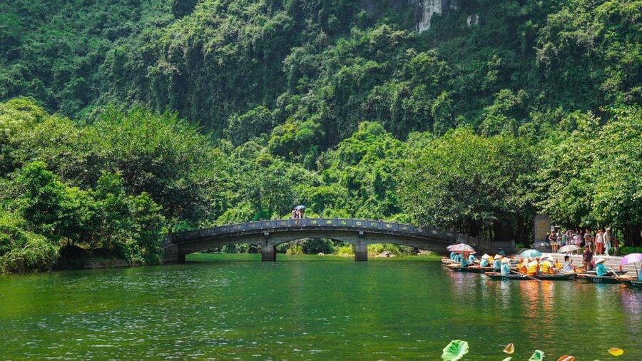 From Hanoi: Ninh Binh Hoa Lu or Bai Dinh, Trang An, Mua Cave - Mua Cave and Hang Mua Steps: Chasing Rice Fields From Above