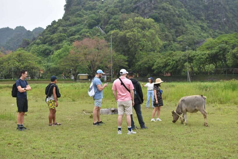 From Hanoi: Ninh Binh, Hoa Lu, Tam Coc, & Mua Cave Day-Trip - How the timing stays comfortable (most days)