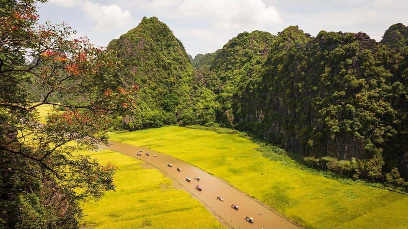 From Hanoi: Ninh Binh- Hoa Lu-Tam Coc- Mua Cave- Highlight - Hoa Lu Temples: Ancient Capital, Guided Context