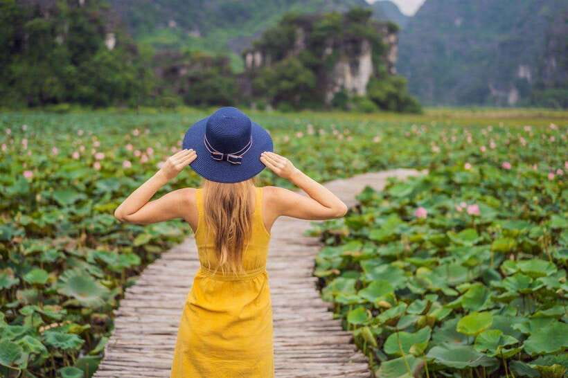 From Hanoi: Ninh Binh- Hoa Lu-Tam Coc- Mua Cave- Highlight - Lunch With Goat Meat Dishes (Plus Vegetarian)