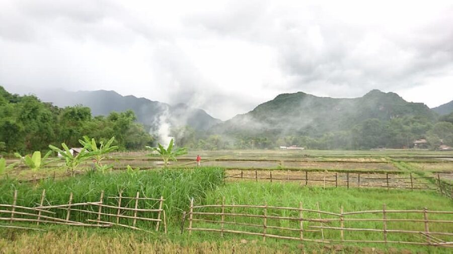 From Hanoi: Ninh Binh-Hoa Lu-Trang An-Mua-Cave-Buffet Lunch - Cycling through the village: the quick slice of local life