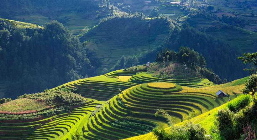 From Hanoi: Premium 2-Day Sapa Adventure with DCAR Limousine - Day 1 in Sapa: From Muong Hoa valley walks to village life