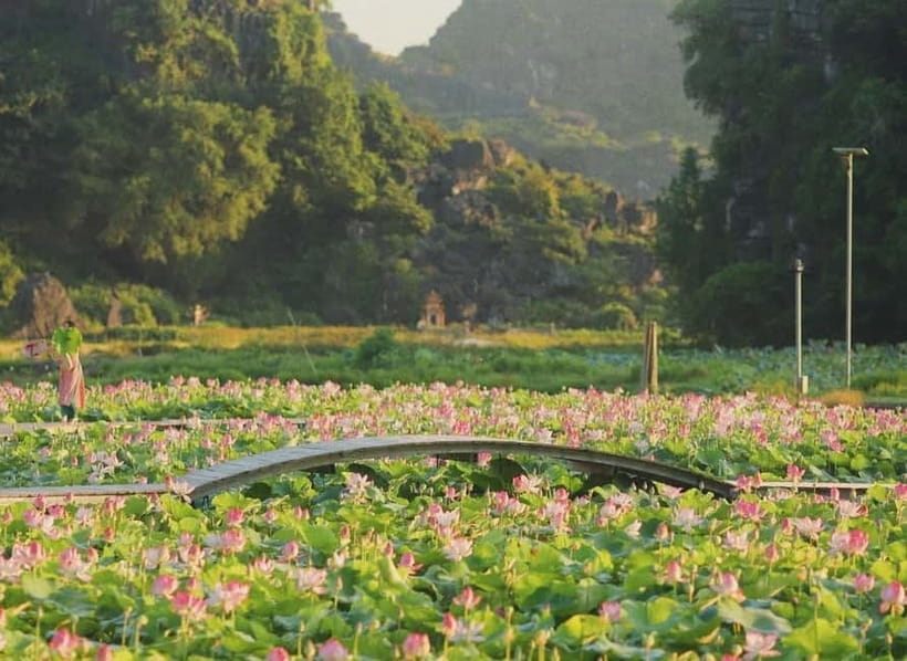 From Hanoi: Private Ninh Binh -Bai Dinh, Trang An & Mua Cave - Trang An UNESCO Caves by Boat: The 2-Hour Part You’ll Remember