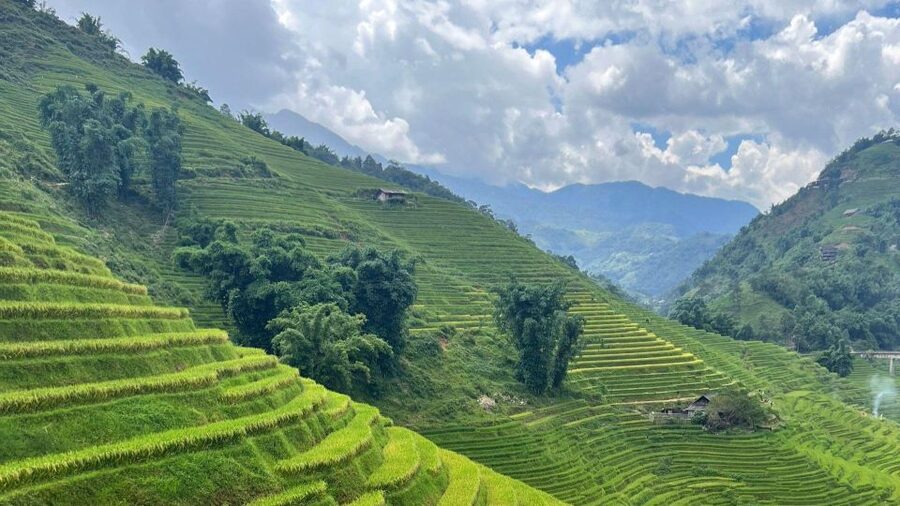 From Hanoi: Sapa 2D1N Homestay overnight by Morning bus - Guides in Sapa: English help, smart tracking, and real names