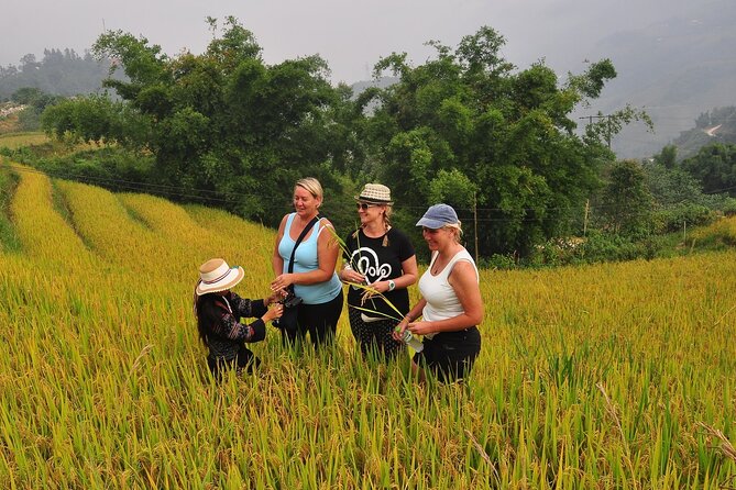 From Hanoi : Sapa Moutain Trek - Halong bay Heritage - Why This Tour Works: The Sapa–Halong Pairing