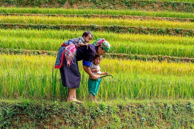 From Hanoi: Sapa Real Experience 2-Day 1 Night at Ethnic Homestay - Ta Van homestay night: what you should expect from local housing