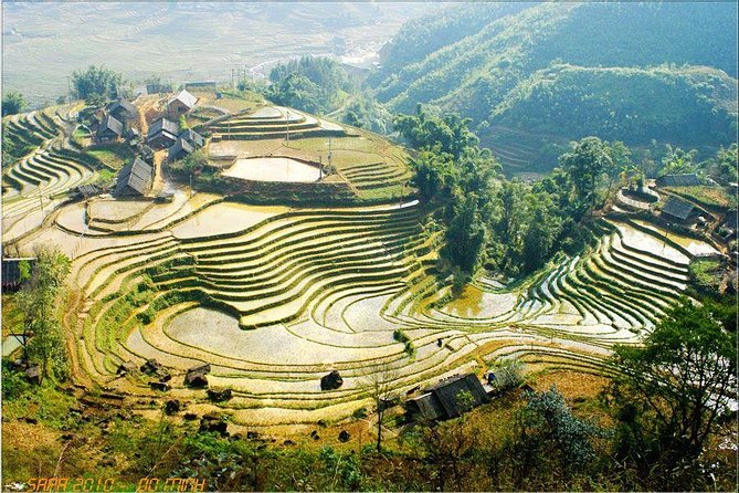 From Hanoi: Sapa Real Experience 2-Day 1 Night at Ethnic Homestay - Day 2 trekking: bamboo forest, terrace fields, and a slower start