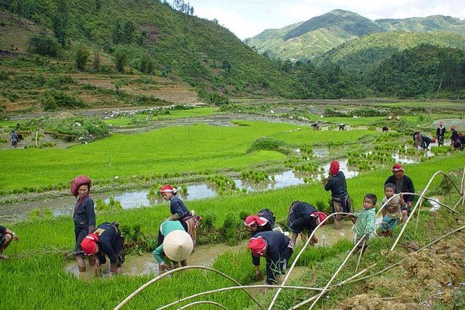 From Hanoi: Sapa Real Experience 2-Day 1 Night at Ethnic Homestay - Hanoi to Sapa: how the long travel day is handled