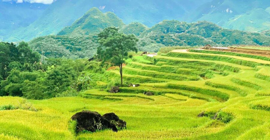 From Hanoi to Pu Luong: 2-Day Trip in Ethnic Villages - Getting from Hanoi: early pickup, long road, and how to stay comfortable