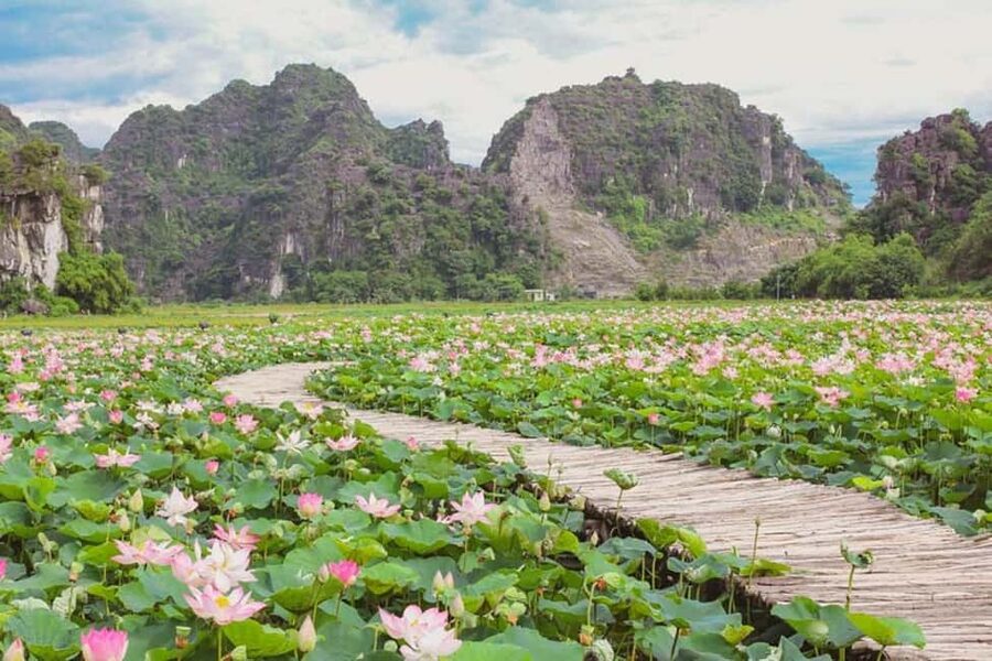 From Hanoi: Trang An eco-tourism - Hoa Lu ancient & Mua Cave - FAQ