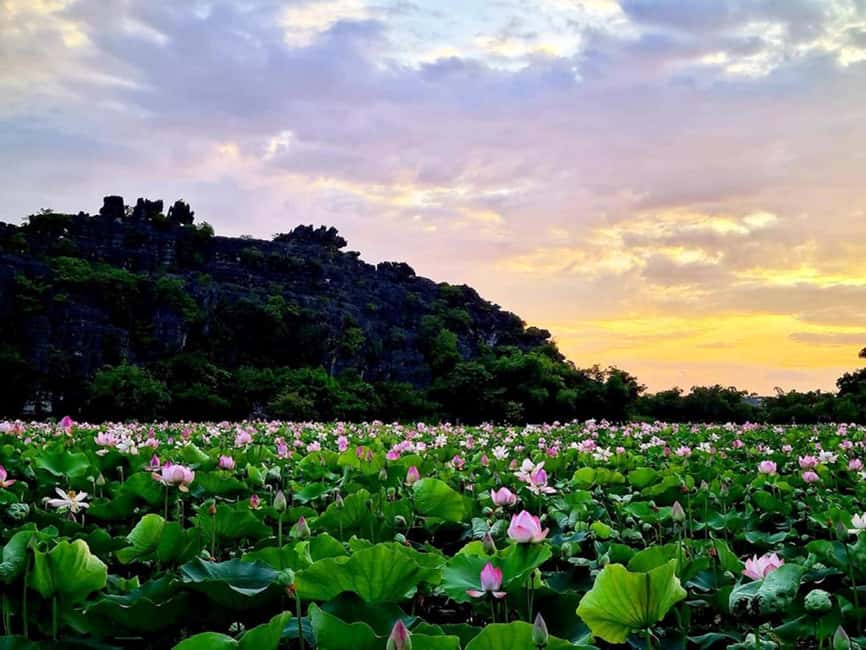From Hanoi: Trang An eco-tourism - Hoa Lu ancient & Mua Cave - Price and value: what $42 gets you, and what to watch for