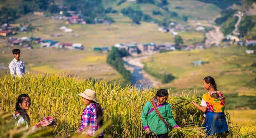 From Hanoi: Trek and Stay: 3-Day Sapa Highlands Adventure - Trekking reality check: mud, layers, and how to feel comfortable