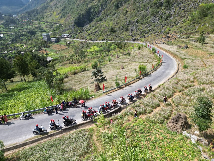 From Ninh Binh:3 Day Ha Giang Loop Motorbike Tour With Rider - Price and value: what $204 includes (and why that’s the point)