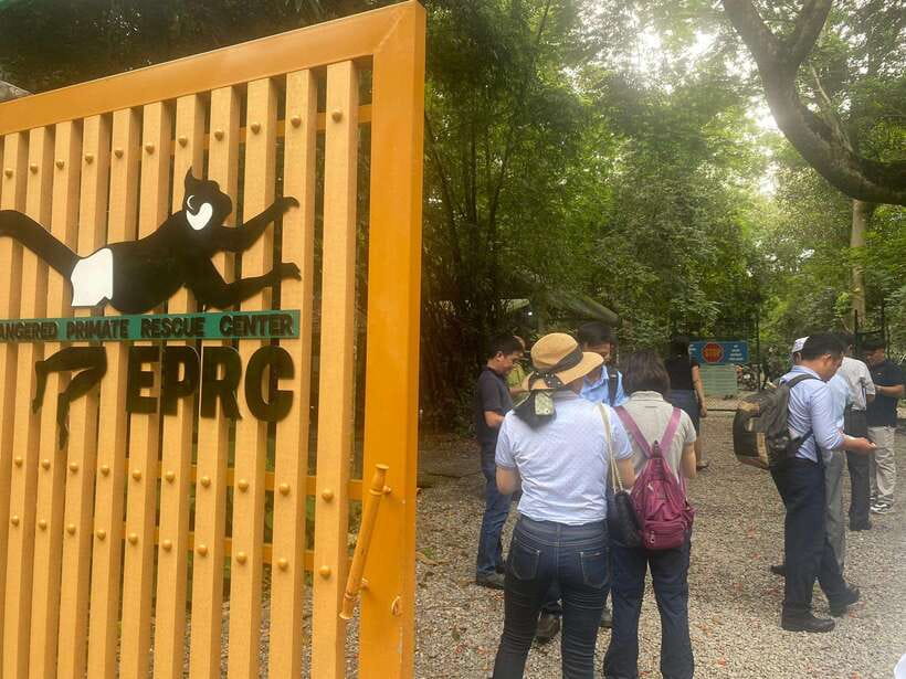 From Ninh Binh: Cuc Phuong National Park 1-Day Small Group - Lunch in the Park: Included, But Time-Confident