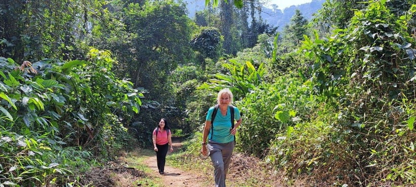 From Ninh Binh: Cuc Phuong National Park 1-Day Small Group - Getting Back to Ninh Binh Around 16:30