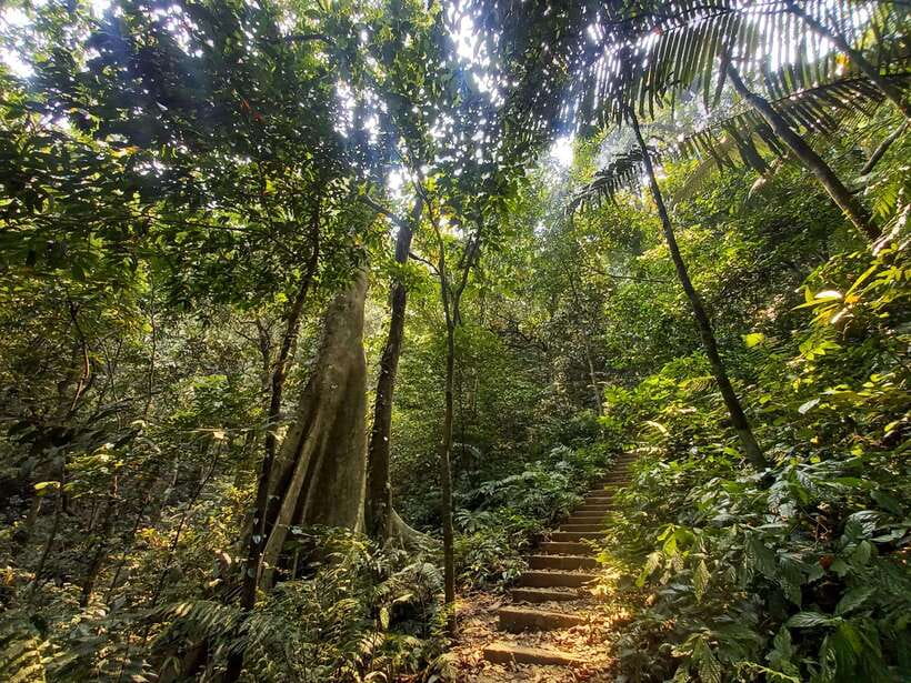 From Ninh Binh: Cuc Phuong National Park 1-Day Small Group - Price and Value: What $46 Actually Buys You
