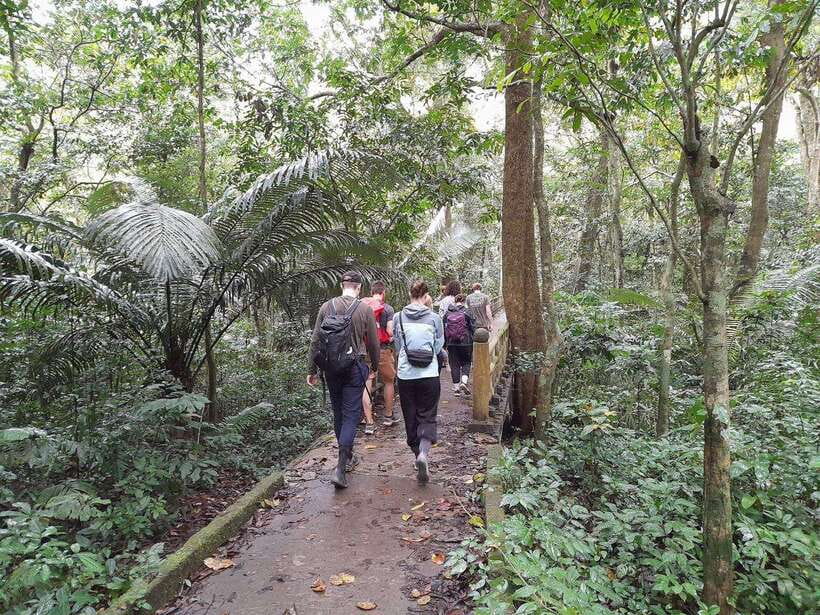 From Ninh Binh: Cuc Phuong National Park Trekking Day Tour - Cuc Phuong Museum: Storage, Preservation, and a Different Kind of Learning