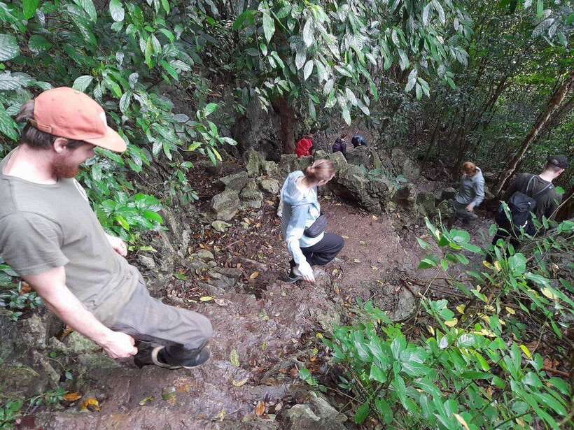 From Ninh Binh: Cuc Phuong National Park Trekking Day Tour - Trek to the 1000 Years Old Tree: Where the Adventure Part Kicks In