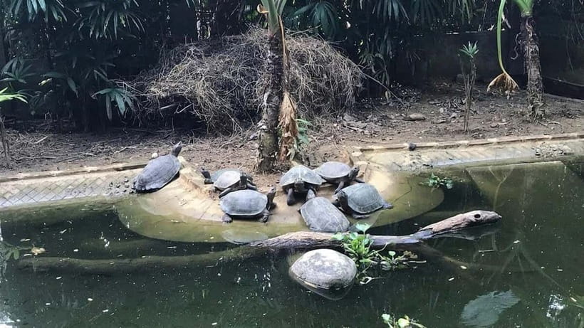 From Ninh Binh: Cuc Phuong - Van Long Reserve - Small Groups - The 3-Hour Jeep Tour to Coi Khe, Bich Dong, Thai Vi, and Athena Field