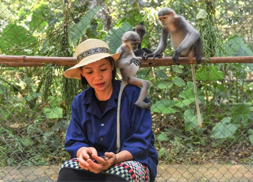 From Ninh Binh: Cuc Phuong - Van Long Small Group Tours - One Thousand Year Old Tree and jungle trek: pace yourself or suffer politely