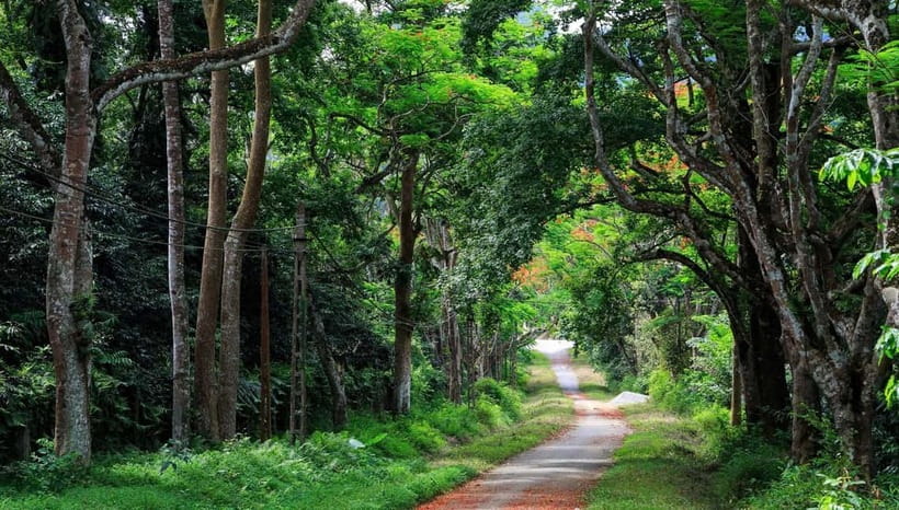 From Ninh Binh: Cuc Phuong - Van Long Small Group Tours - What to bring so you don’t hate the jungle day