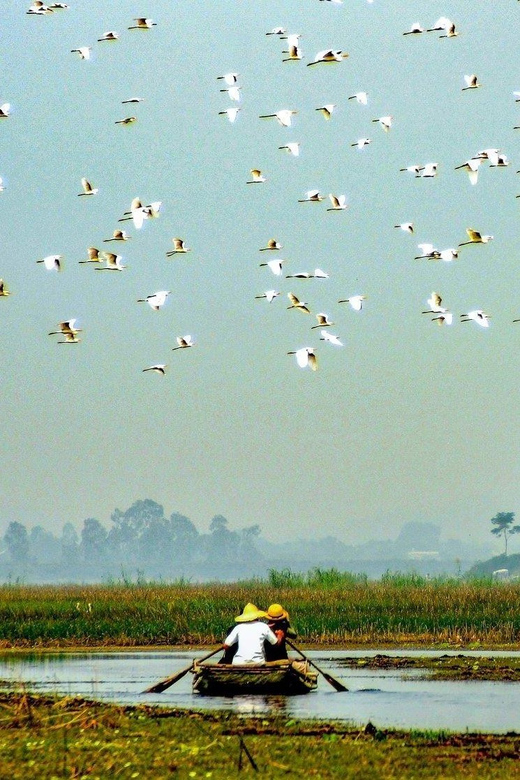 From Ninh Binh: Visit Cuc Phuong National Park - Van Long - Why Cuc Phuong and Van Long pair so well