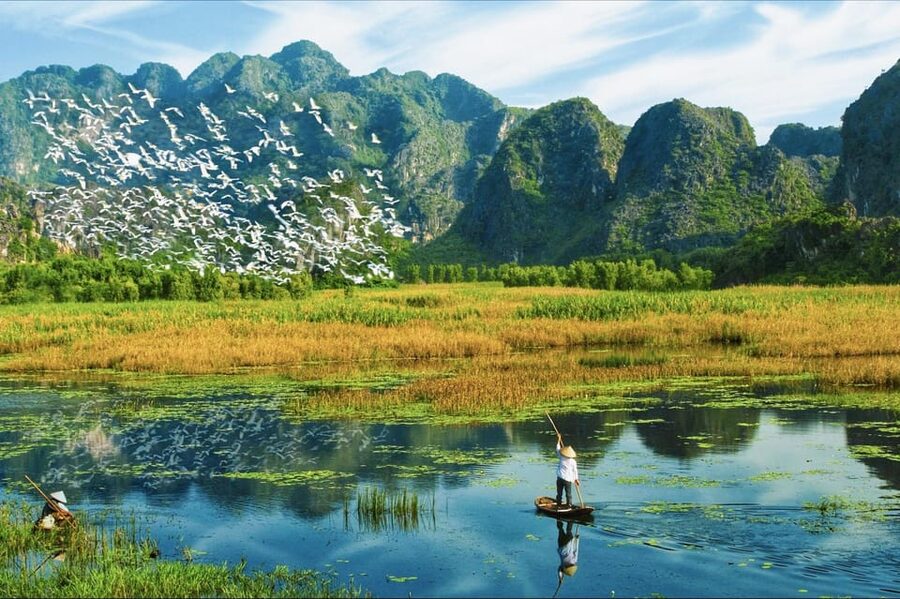 From Ninh Binh: Visit Cuc Phuong National Park - Van Long - Cave of Prehistoric Man: a quick culture-meets-nature pause