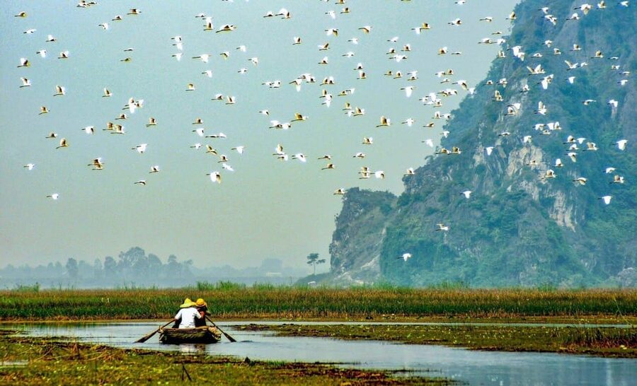 From Ninh Binh: Visit Cuc Phuong National Park - Van Long - Pickup from Ninh Binh and the road to Cuc Phuong