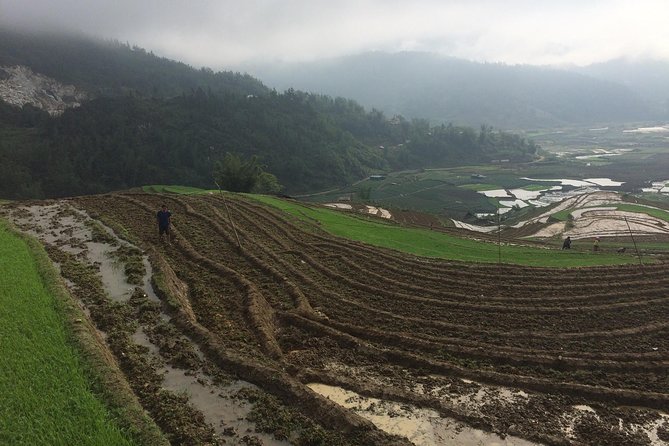 From Sapa: 2-Day Trek Through Authentic Villages in North - Sapa - Dinner and the homestay with a family: what to expect