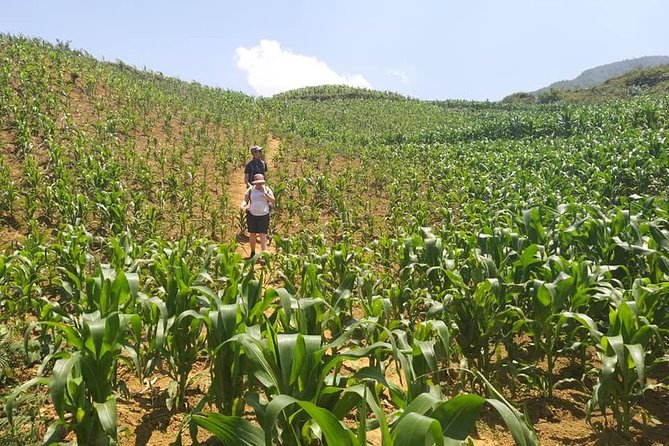 From Sapa: 2-Day Trek Through Authentic Villages in North - Sapa - Who this trek is best for (and who should choose something else)
