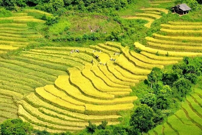 From Sapa: 2 Days 1 Night Trek Over Night At Homestay - What to bring so the trek feels easy