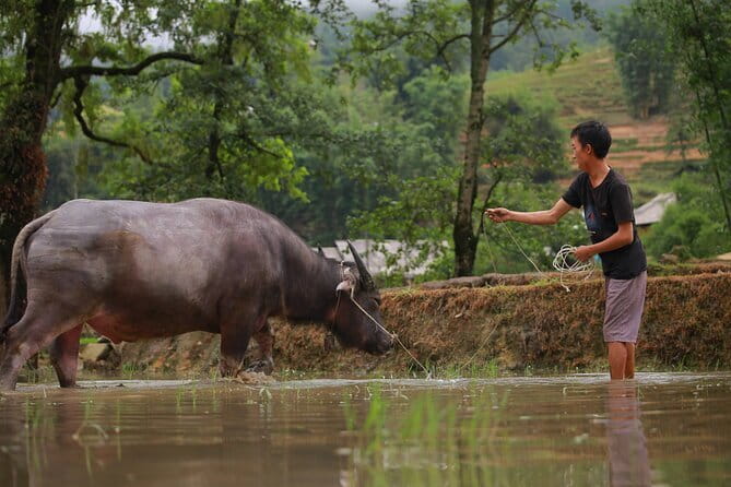 Full Day Cultural Tour in Sapa Terraces - Key highlights you’ll actually feel