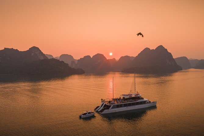 Full Day Group Tour in Lan Ha Bay - Key reasons this cruise feels like a good day trip