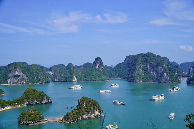 Full day Halong Bay Tour with Buffet Lunch - Sung Sot Cave: The Bay’s Limestone Drama Up Close
